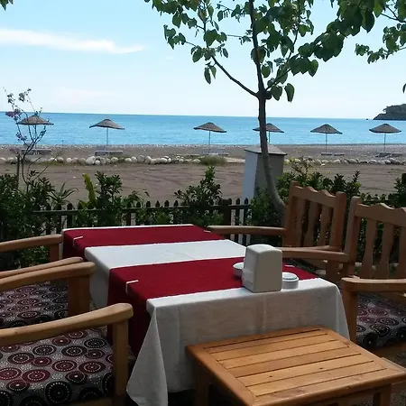 Yavuz Çıralı
